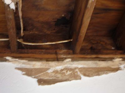 Roof Water Damage Repair Service