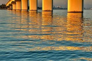 Water Damage Venice, Florida