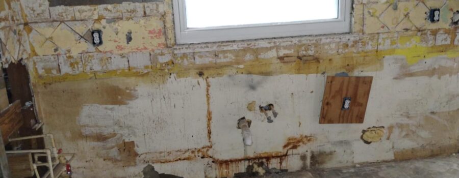 Professional moisture mapping, selective demolition, and water damage mitigation during residential mold remediation in Bradenton, Florida.