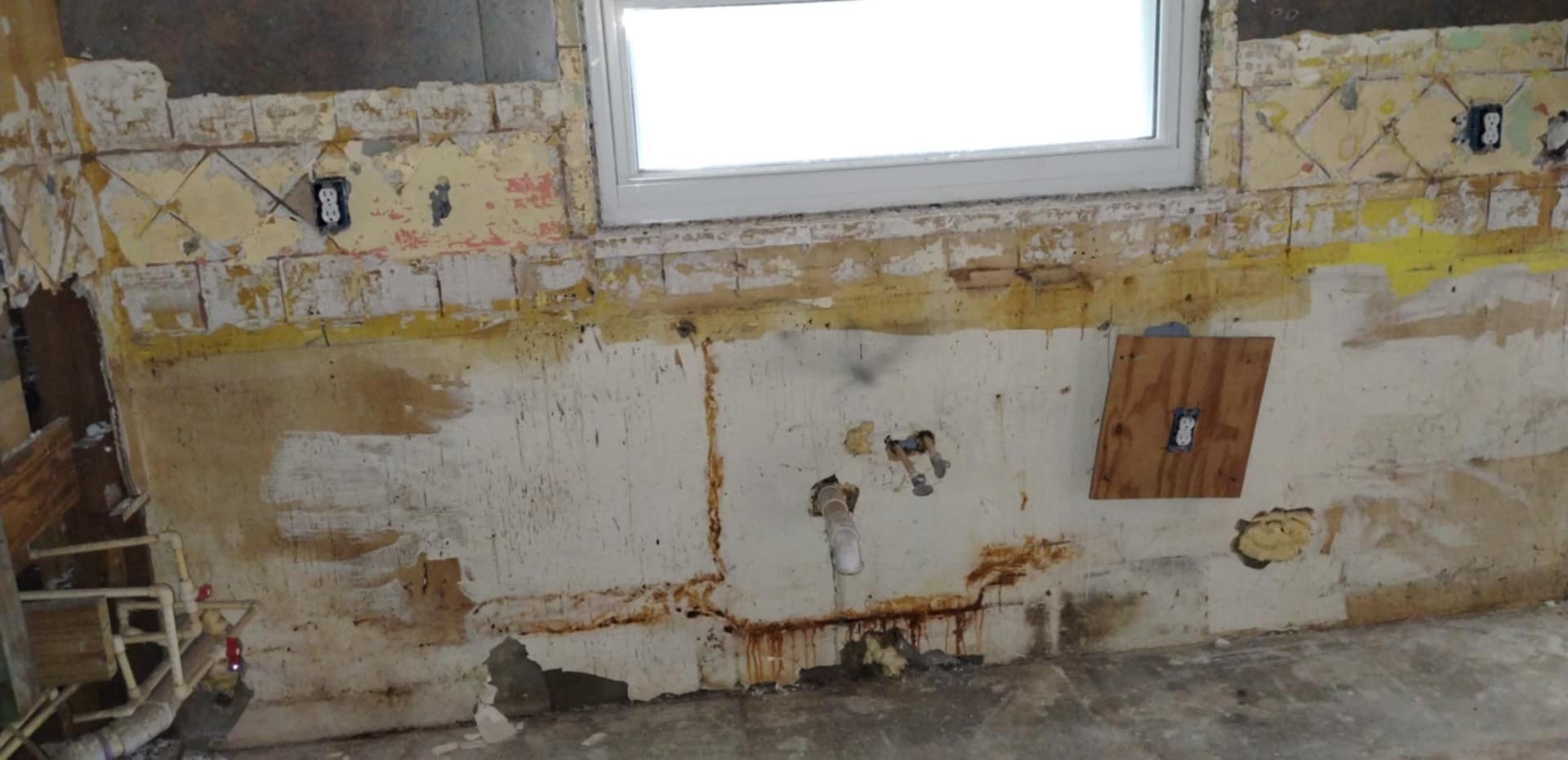 Professional moisture mapping, selective demolition, and water damage mitigation during residential mold remediation in Bradenton, Florida.