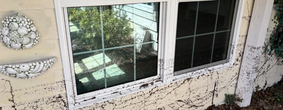 Flood damage restoration involving moisture mapping, selective demolition, structural drying, and mold remediation inside a Sarasota home.