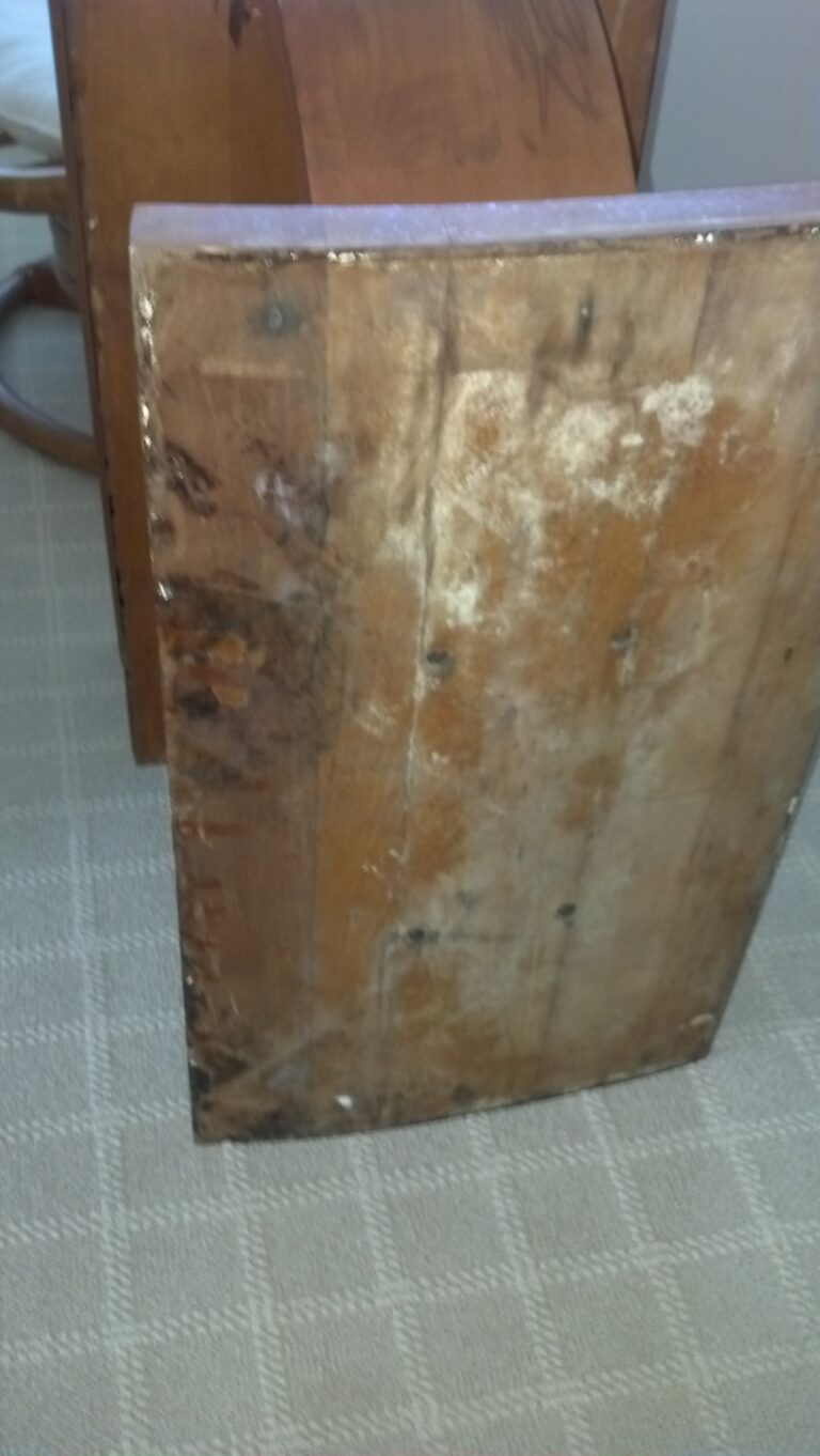 Mold-affected porous material documented during residential mold remediation in Venice Florida 34292
