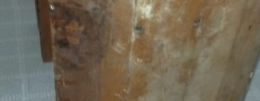 Mold-affected porous material documented during residential mold remediation in Venice Florida 34292