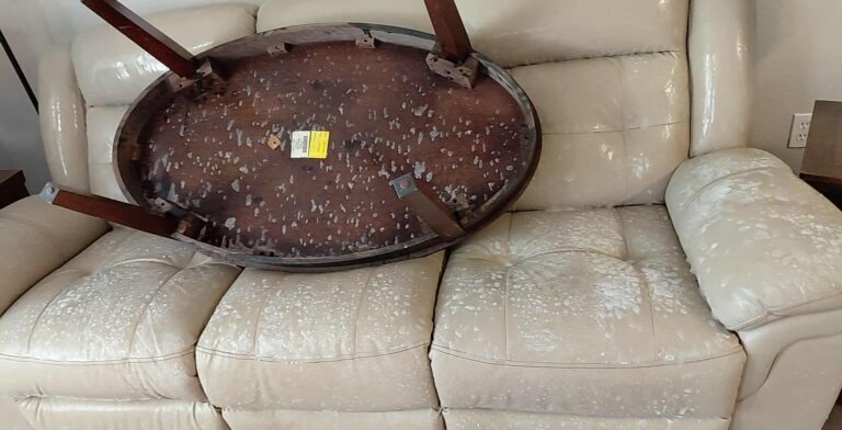Severe white mold covers a beige leather sofa and an upside-down wooden coffee table.