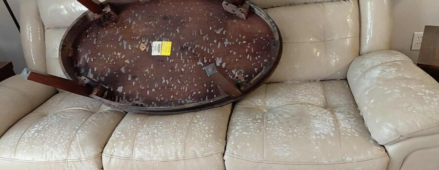 Severe white mold covers a beige leather sofa and an upside-down wooden coffee table.