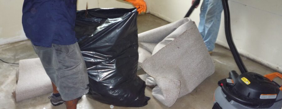 Technicians removing sewage-affected flooring and exposing contaminated wall areas during residential sewage backup cleanup in Sarasota Florida