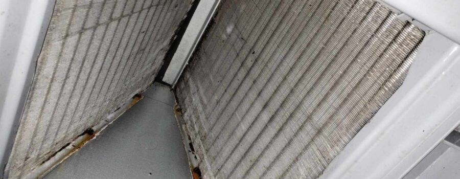 Whole-home surface mold remediation and professional HVAC air handler cleaning in Sarasota Florida