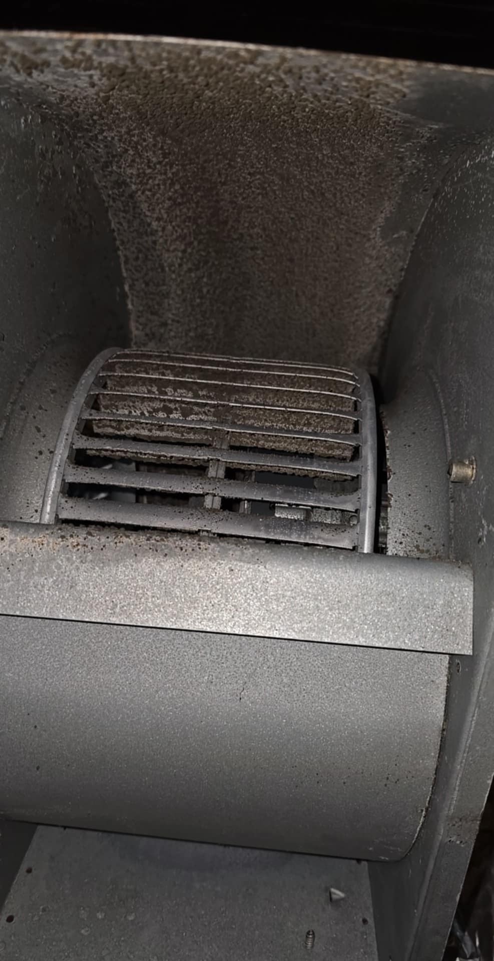 HVAC Blower motor clean