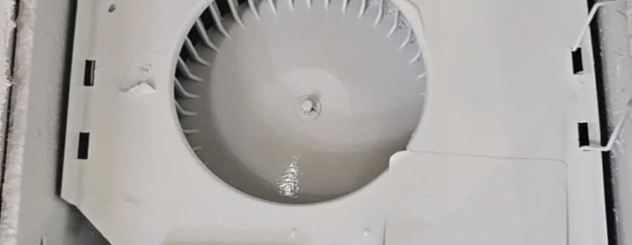 Should Your HVAC System Be Cleaned After Water Damage and Mold Remediation in Sarasota, Florida?