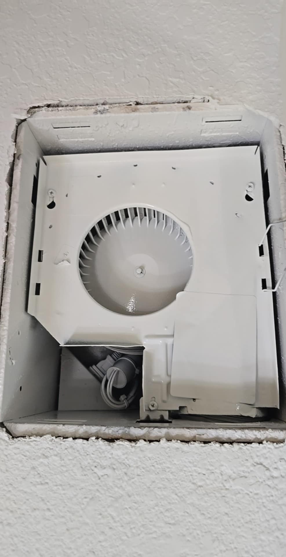 Should Your HVAC System Be Cleaned After Water Damage and Mold Remediation in Sarasota, Florida?