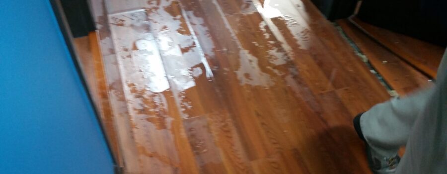 Hurricane Ian floodwater affecting glue-down hardwood flooring during water mitigation in Venice Florida 34293