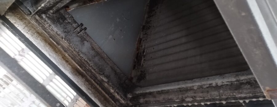 Contaminated HVAC components documented during whole-home mold remediation and HVAC cleaning in Palmetto Florida
