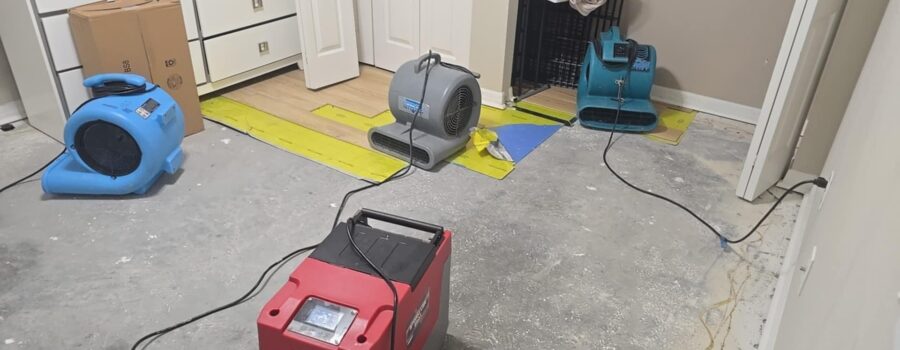 Commercial dehumidifier and air movers operating during mold remediation and structural drying in a Siesta Key home.
