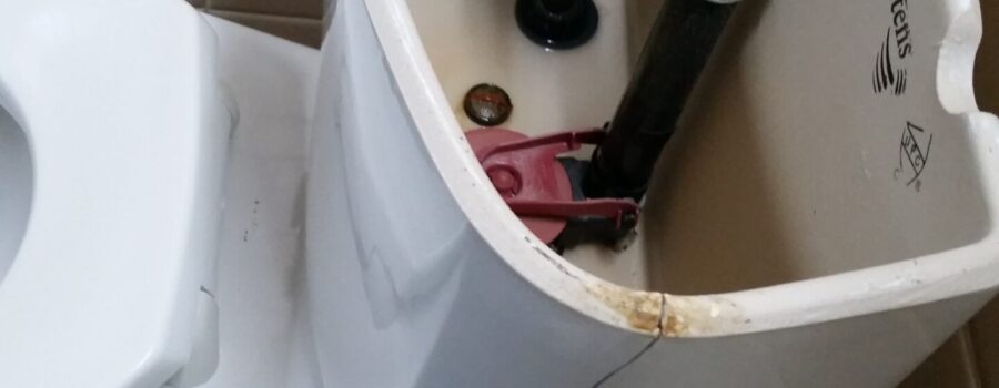 Toilet tank and bathroom inspected following toilet overflow water damage in Longboat Key Florida 34228