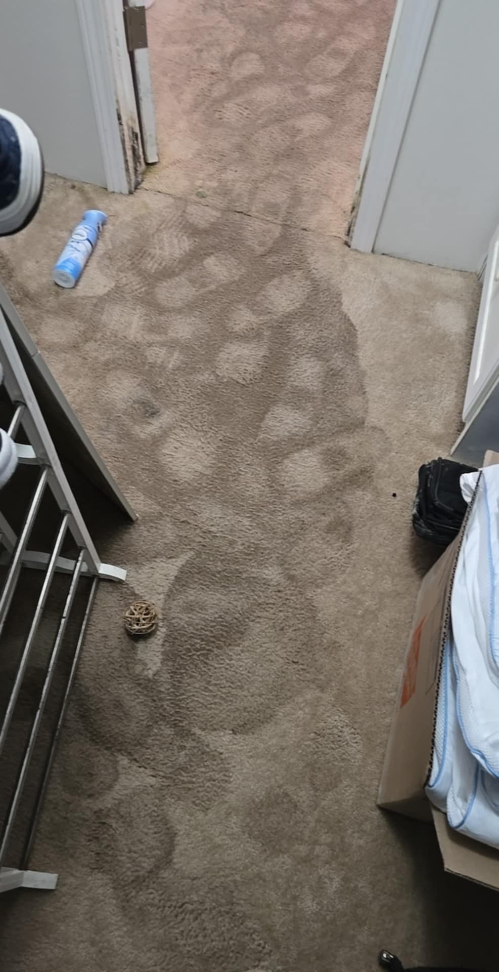 Technician documenting moisture meter readings during structural drying after residential water damage in Bradenton, Florida.