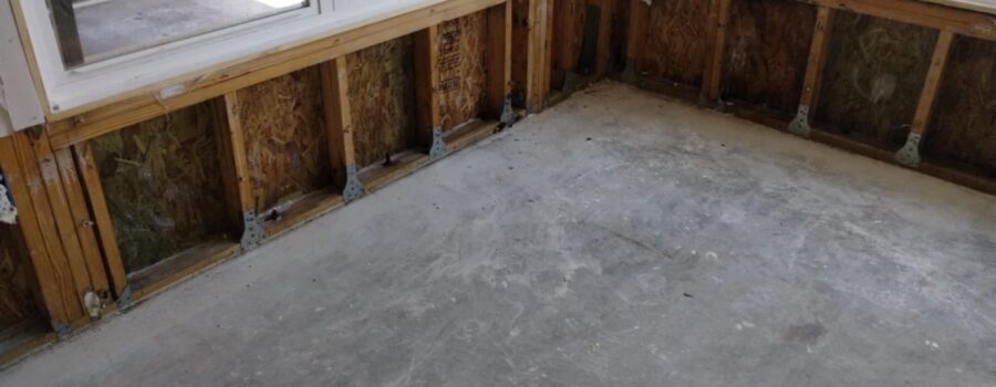 Performed water mitigation and mold remediation in Bradenton