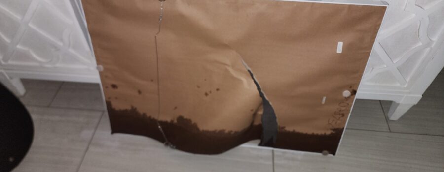 Water damage restoration following a hidden pool water supply line leak requiring structural drying, moisture mapping, and mold remediation in Holmes Beach, Florida.