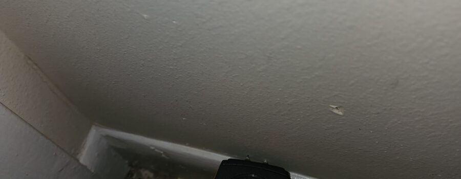 Professional moisture meter showing an elevated 81.3 reading during a residential water damage inspection in Sarasota, Florida.