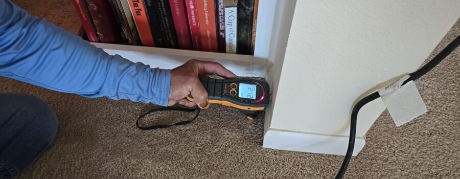 Crawl Space Mold Remediation and Preventative Structural Treatment