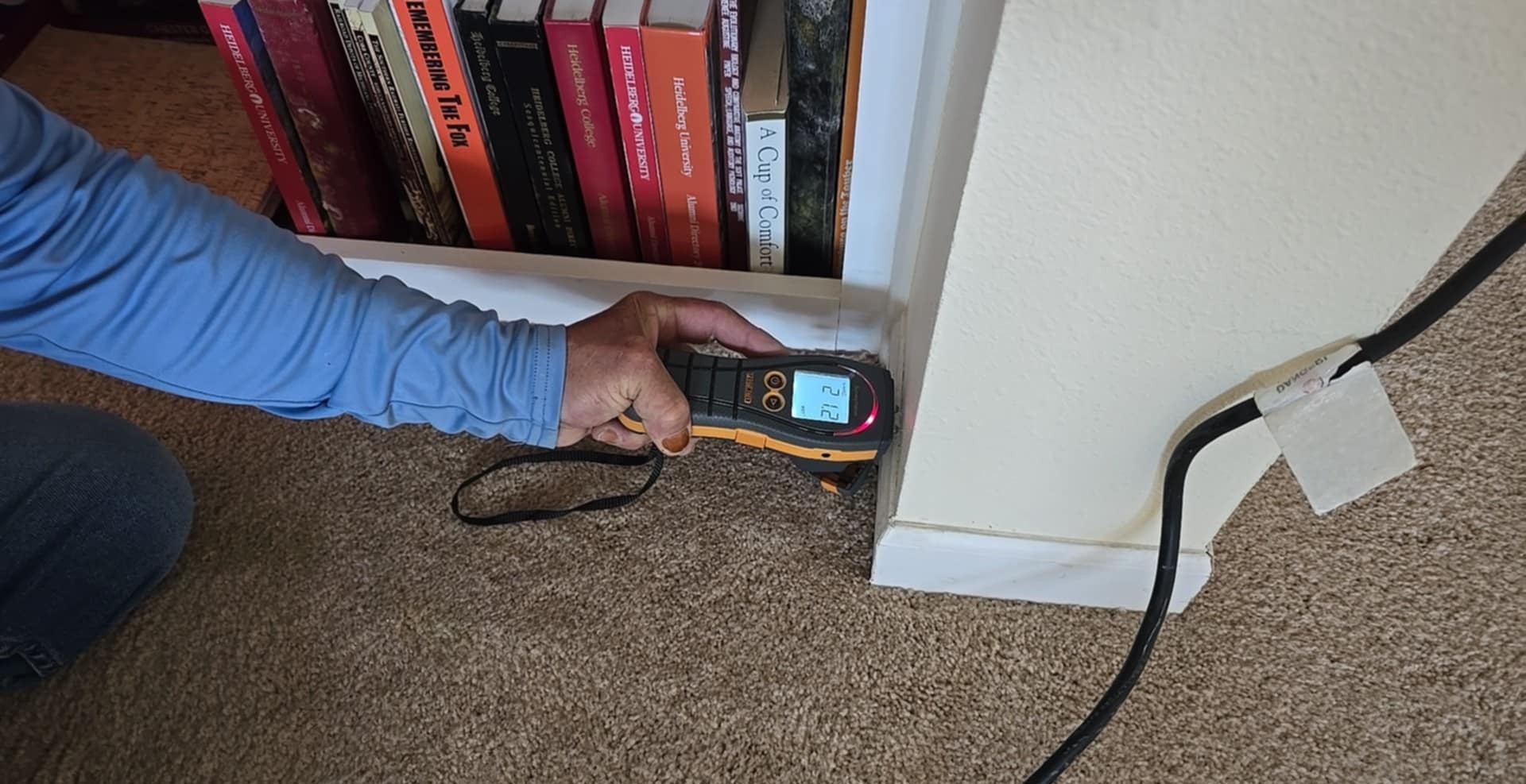 Crawl Space Mold Remediation and Preventative Structural Treatment