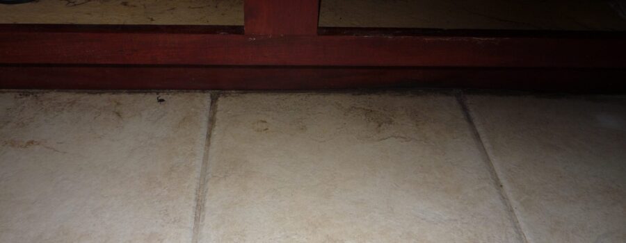 Contaminated water damage affecting residential flooring during water damage mitigation and contents pack-out in Bradenton Florida